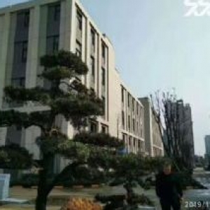 出售 花园式厂房 升华电梯旁边