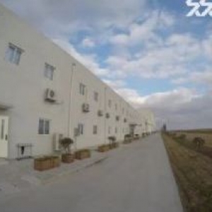 大丰厂房仓库出售(可租赁)