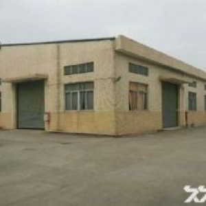 道滘原房东独院单一层厂房2300平方出租交通方便，易招工