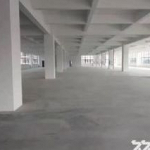 茶山全新重工业标准厂房