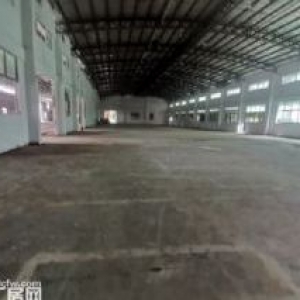 独院单一层钢构厂房8500平方出租