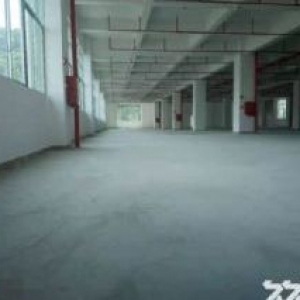 靠东深二线仓库纸箱包装厂房出租楼上整层2200平 带消防喷淋