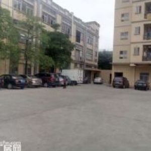 凤岗无公摊一楼厂房出租1200平 官井头近大运城邦