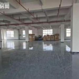 凤岗近深圳楼上全新厂房出租800平 电子 纸箱 加工 毛刷