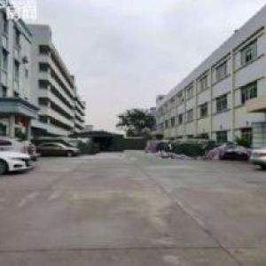 租客独院厂房分租一楼1800平方