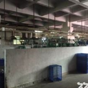 凤岗雁田南山一楼厂房出租1800平 大小可分租