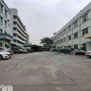 原房东独院标准厂房5000平方