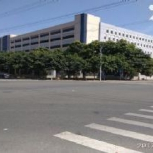 东莞市常平镇５４０００平米钢架厂房出租 (可分租)