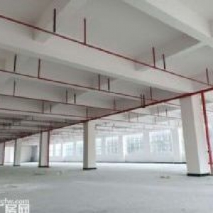 凤岗近深圳可做珍珠棉 包装材料 电池 喷油厂房出租 大小分租