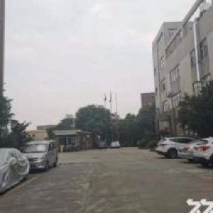 中山市独院厂房出售12976平 产权、股权可过户 近深中通道