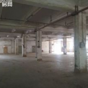 松山湖附近十年回本厂房，已见业主急卖