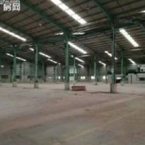 惠州单一层独门独院钢构厂房出售6100平米，卖370万