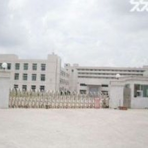 高埗镇原房东独院标准厂房低价出售