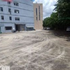 东莞市望牛墩国有双证厂房出售2万平米 现在空置