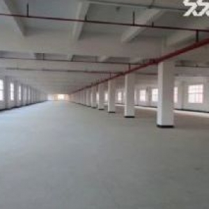 博罗县园洲镇上南工业区手续证件齐全，红本产权12000㎡