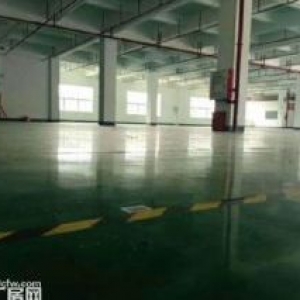 江门蓬江荷塘工业园标准杠架结构厂房1000平方招租，现成装修