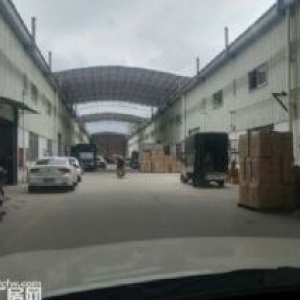 蓬江荷塘霞村工业区1000平方独立单一层钢构厂房仓库招租