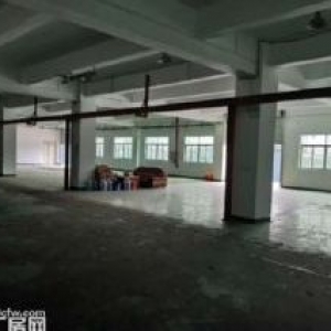 江门台山工业新城形像好地段佳工业园厂房1500平方招租