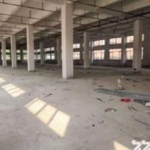 江门台山工业新城形像好独院工业园厂房2000平方招租