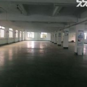 鹤山工业新城工业园电梯厂房2000平方一层招租