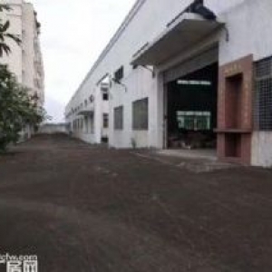江门新会独院工业园钢构厂房仓库出租3000平方