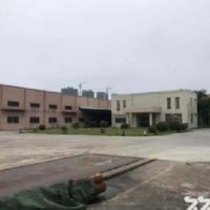 江门新会大泽独院单一层厂房2800平方招租