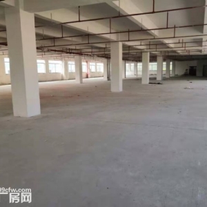 台山工业新城形像好空地大标准厂房2000平方招租