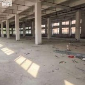 台山水步独院甲级消防厂房仓库2000平方出租