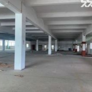 台山水步工业厂房出租
