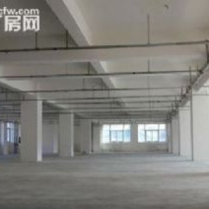 全新 独立产权厂房 可独栋可分层 面积600到15000平方 江门顺德高明均有售