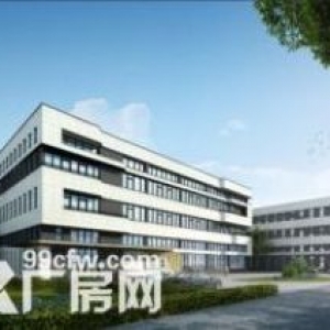 江门全新50年产权厂房，独栋／多层出售，可按揭