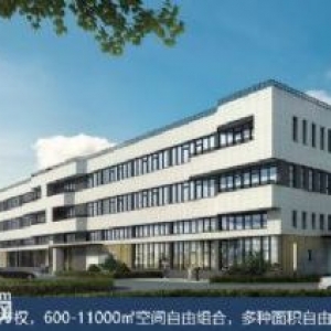 台山智能装备产业园。50年独立产权厂房出售，可按揭，2成首付