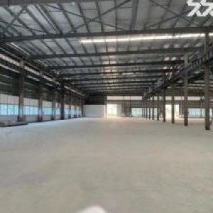 江海工业园区30000平标准钢结构工业厂房出租可分租