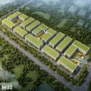 大集团实力开发运营，50年产权工业厂房，无后顾之忧