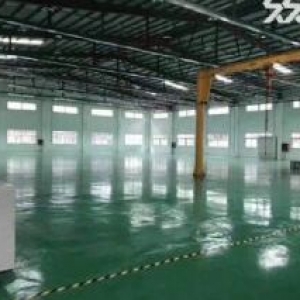 台山市新出钢构厂房出售双证齐全低价仅700元每平方投资自用都合算