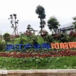 新会厂房现楼！50年独立产权全新厂房，地理位置优越，粤港澳大湾区中心地理位置