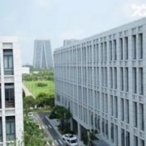 江门蓬江首层8米2400方三层小独栋出售（可按揭、50年产权）