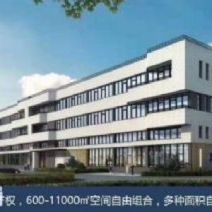 中南高科台山智能装备产业园独立产权厂房出售，3成首付