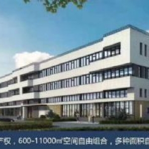大湾区核心，台山工业新城50年独立产权厂房