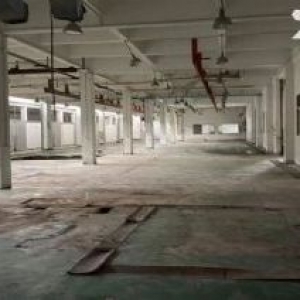 外充公 厂房一楼4300平，2楼1280平，可适当分割