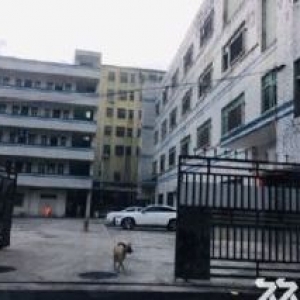 空地2千多平龙岗区横岗5500平小独院厂房1−4层3200平