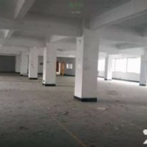 前山厂房可做写字楼、厂房、仓库