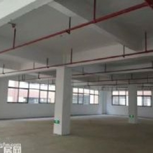 50年产权 可做按揭 独门独院 可以定制