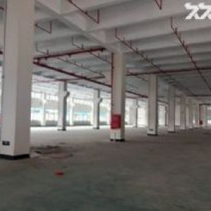 小榄一楼全新独门独院2000平厂房出租，厂房业主直租