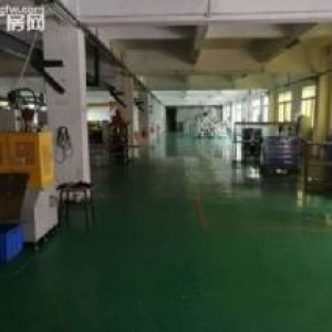 板芙 标准2000平厂房出租，无转让费，价格实惠