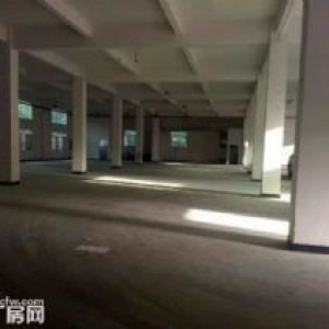 装修完善 南头穗西一楼1300方厂房招租 近高速 交通方便 食宿配套 好招工