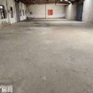 南头升平北路单一层550方厂房出租 周边交通便利 好停车 有空地 租金便宜