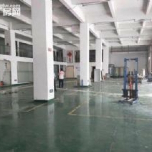 渡兴西路标准一楼900平方厂房出租 现成主线装修 证件齐 形象好 好办环评