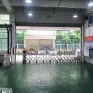 板芙800方标准一楼厂房招租 可做注塑 五金 可办环评 有行车