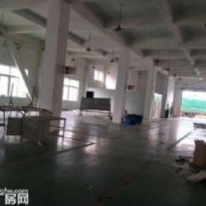 黄圃马新一楼1600方框架厂房出租 空地大 好进大车 现成环评 配套食宿